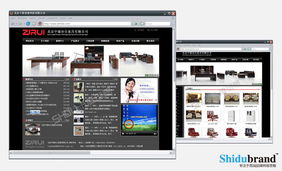 北京網(wǎng)站建設(shè)案例展示 洞察行業(yè)趨勢，打造卓越數(shù)字形象